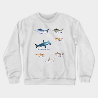 Favorite Florida Keys Sharks Crewneck Sweatshirt